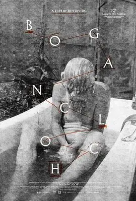 《林中空地》：迷雾中的女性觉醒，一场孤独而坚韧的生存自救史诗